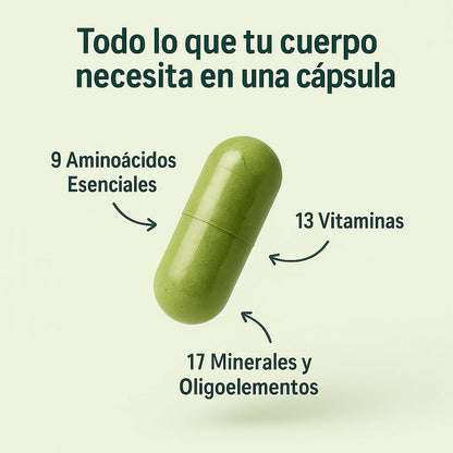 MoringaPure® – Activa tu día con energía natural y bienestar