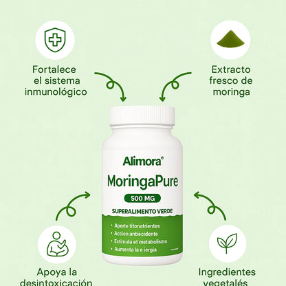 MoringaPure® – Activa tu día con energía natural y bienestar