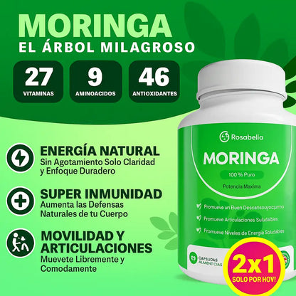 Moringa® | 1 Lleva 2, paga 1 SOLO POR HOY!